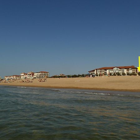 La Dune D'Or - Vue Mer, Studio Face A La Plage Avec Terrasse Soorts-Hossegor Eksteriør bilde